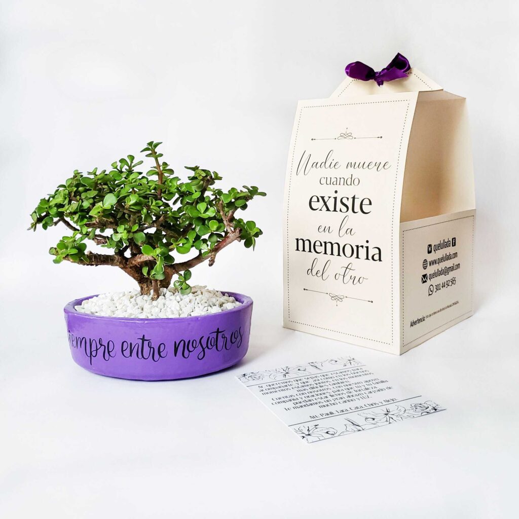 bonsai de condolencias