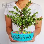 super bonsai