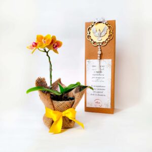 orquidea de condolencia