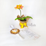 orquidea de condolencia
