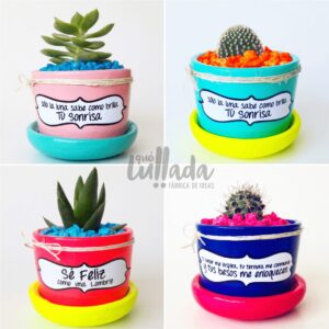 cactus y suculentas