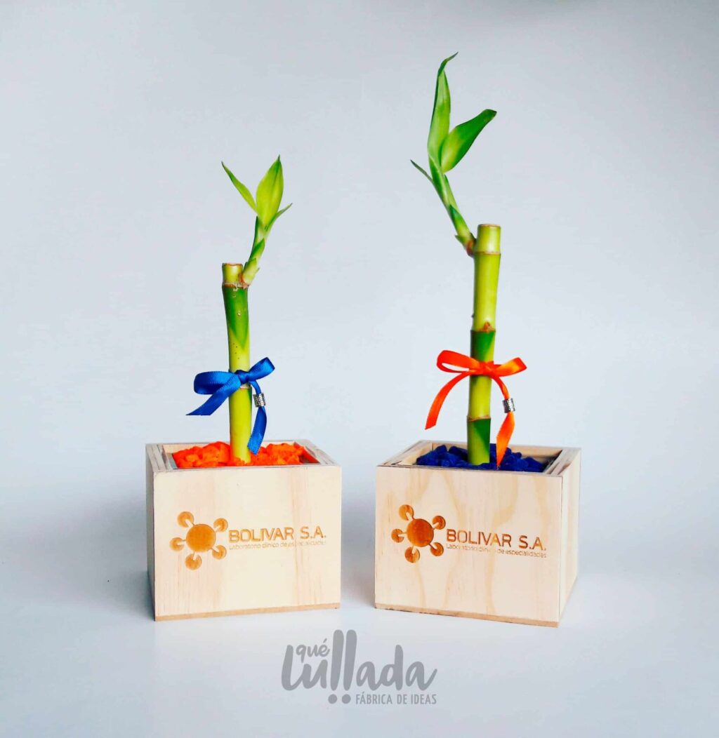 BAMBU NATURAL