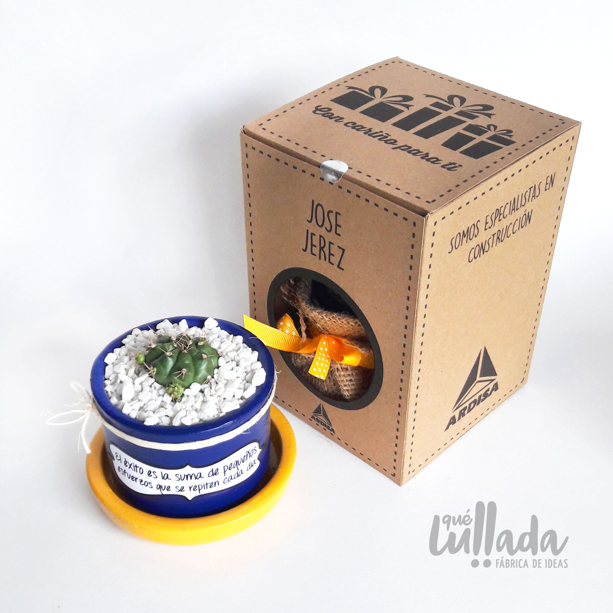 Cactus en Maceta personalizada