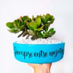 Bonsai condolencias
