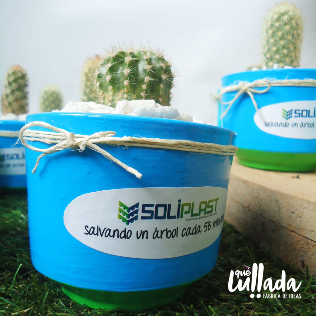 Cactus personalizado