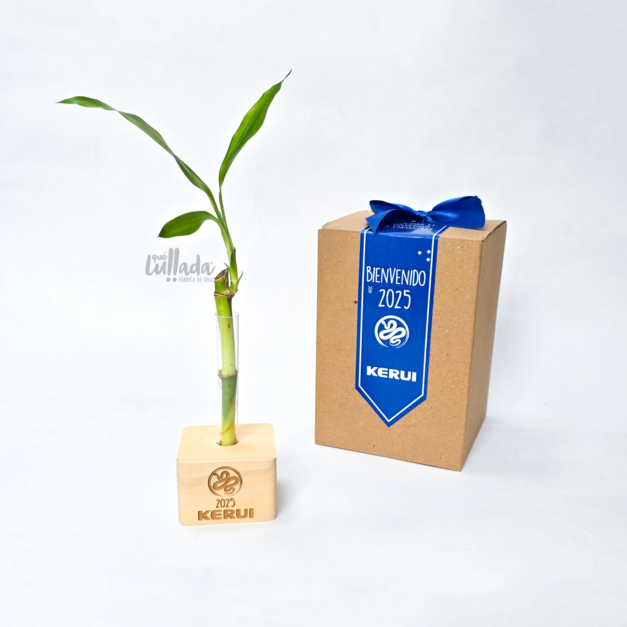 bambu empresarial