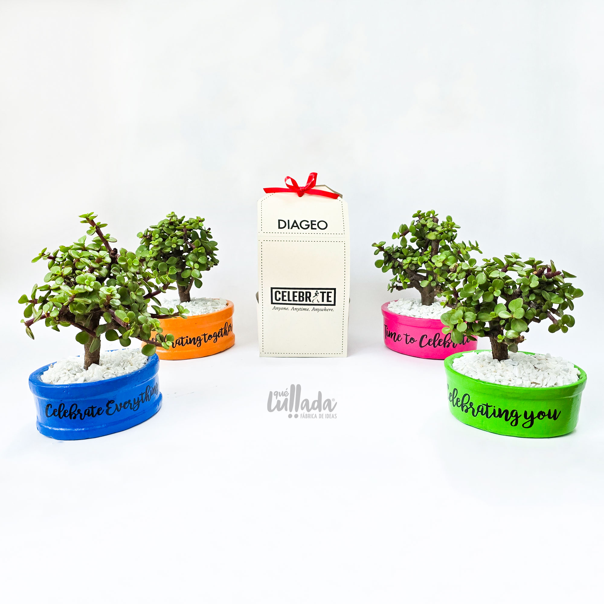 bonsai-diageo