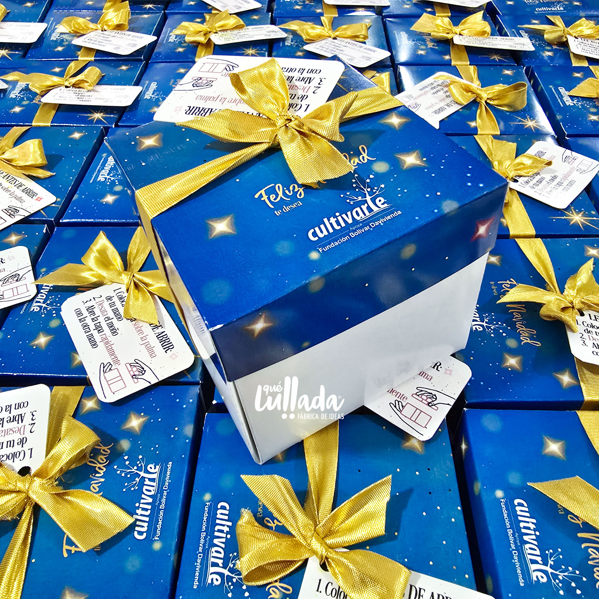 encanto-navidad-seguros-bolivar
