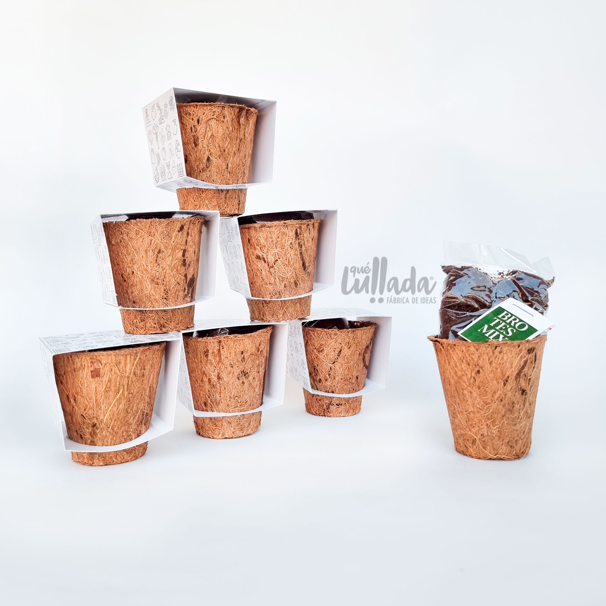 kit-mini-siembra