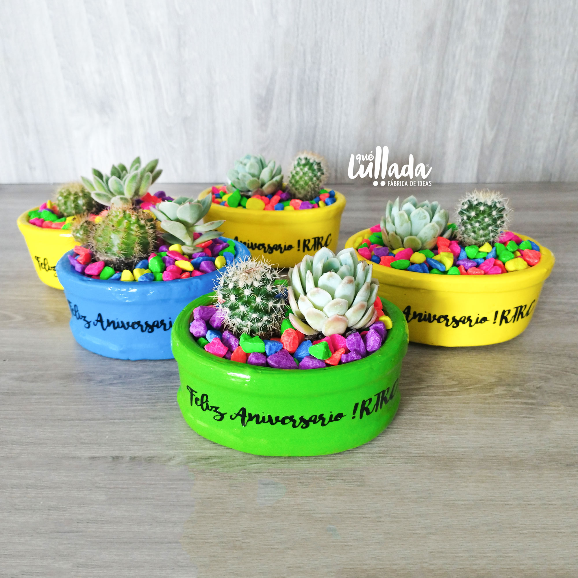 mini-jardin-rtc